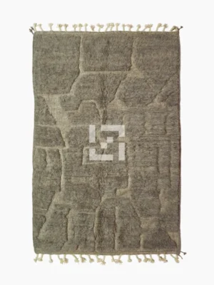 Top View of Anis handmade Beni Ourain wool rug with an abstract map-like design in textured taupe and ivory