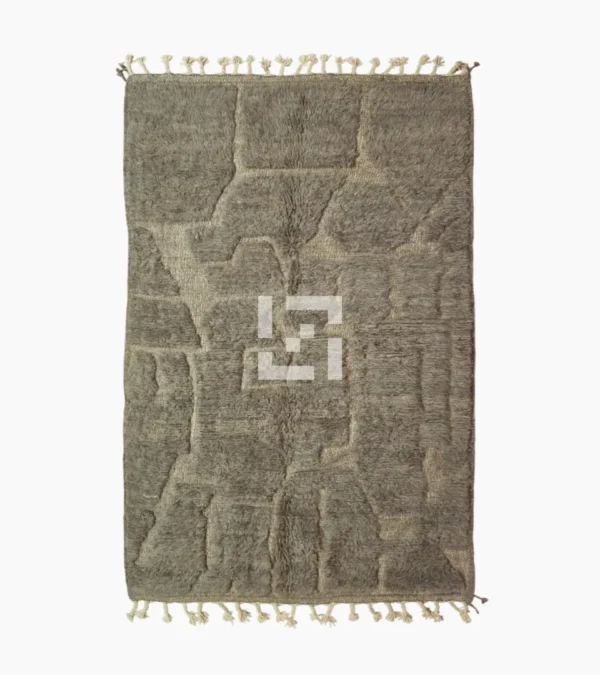 Top View of Anis handmade Beni Ourain wool rug with an abstract map-like design in textured taupe and ivory